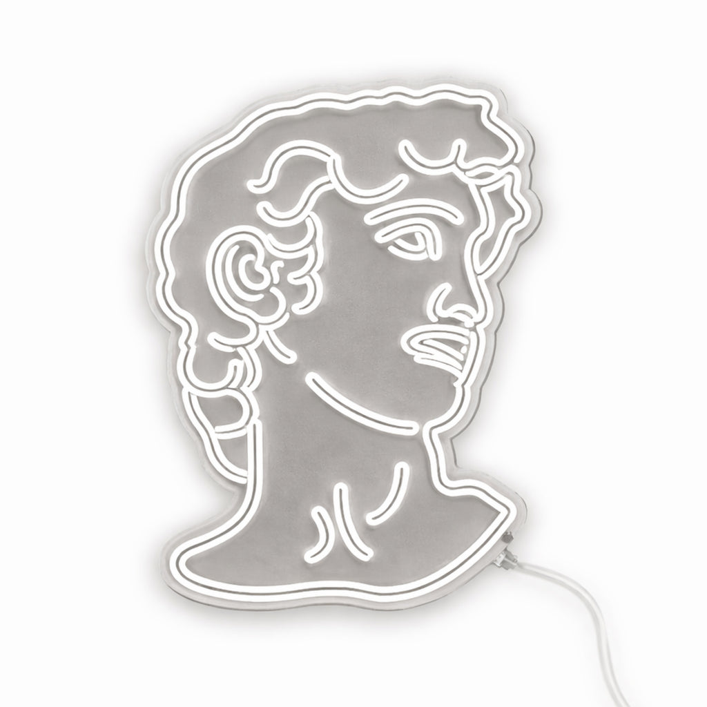 LED Neon “David” – Premium decoration for homes and businesses.