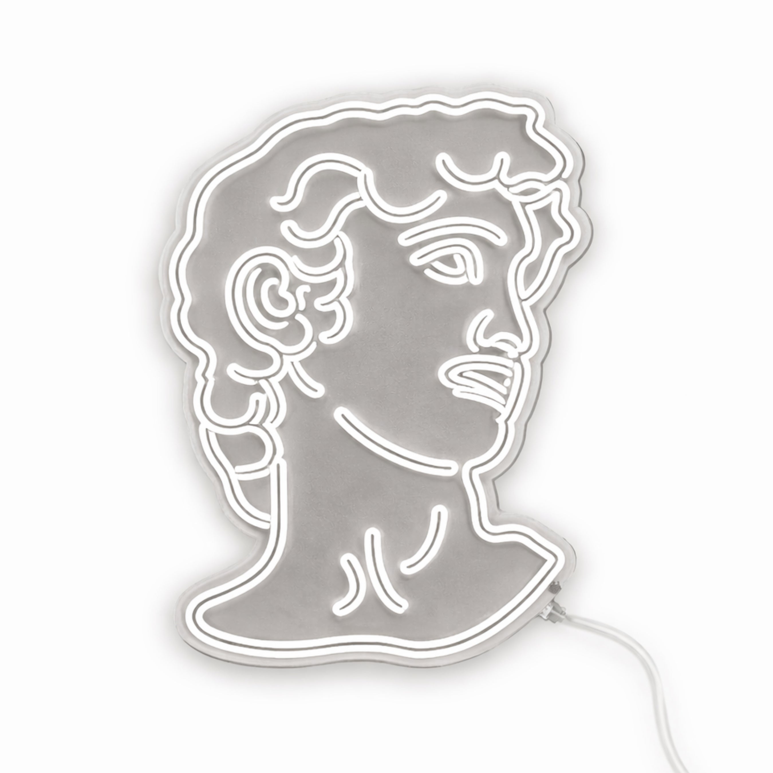 Neón LED “David” – Decoración premium para hogares y negocios.