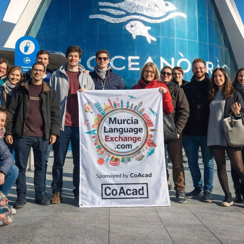 Banderas Personalizadas Baratas (Exterior e Interior) – Tela 115g/m² + Envío Rápido